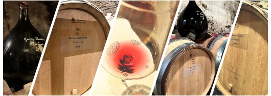 Tasting at Vincent Paindavoine – Vintage 2024